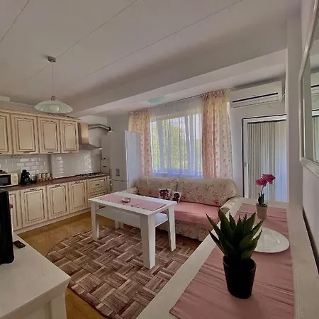 Lovely Crib In Borhanci Appartement